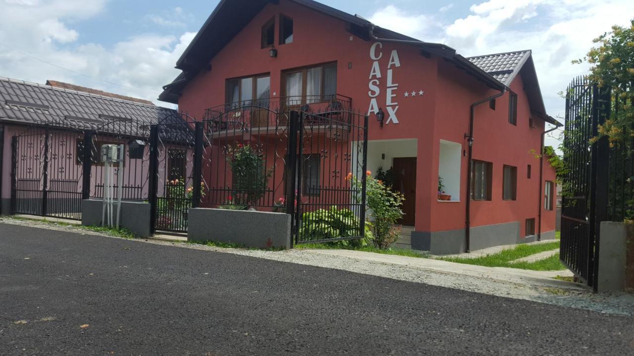 Vila Alex Hotel Calimanesti Exterior photo