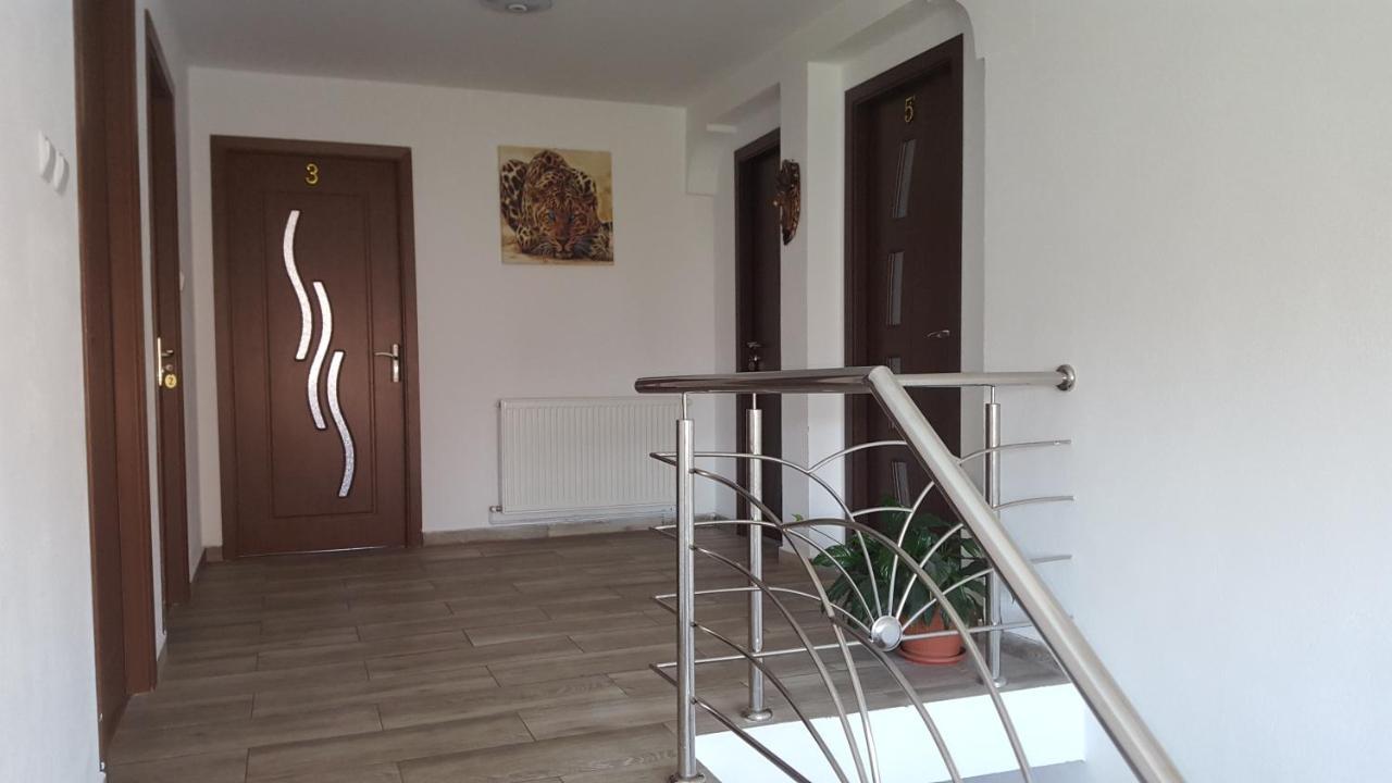 Vila Alex Hotel Calimanesti Exterior photo