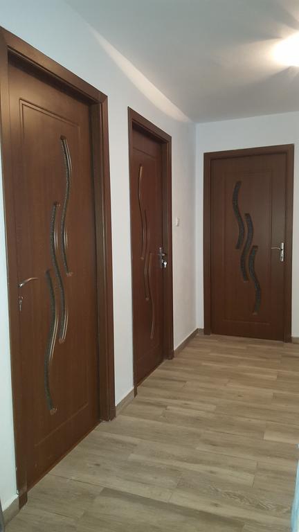 Vila Alex Hotel Calimanesti Exterior photo