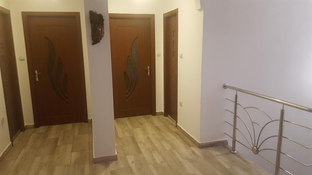 Vila Alex Hotel Calimanesti Exterior photo