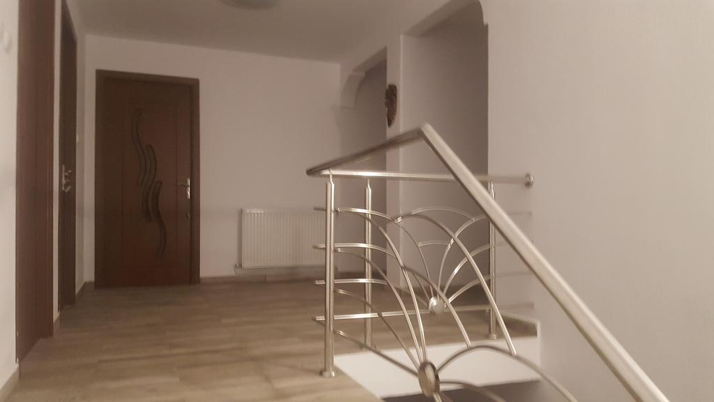 Vila Alex Hotel Calimanesti Exterior photo