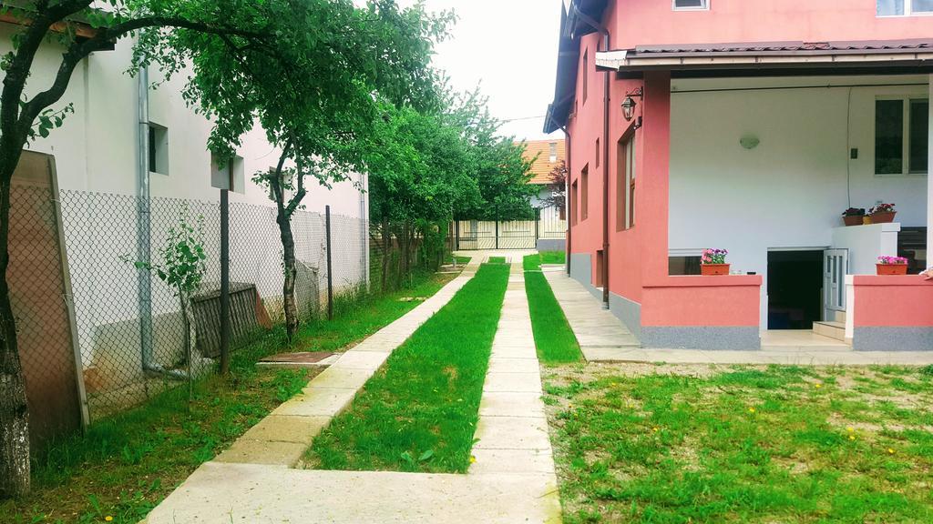 Vila Alex Hotel Calimanesti Exterior photo