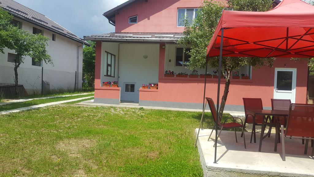 Vila Alex Hotel Calimanesti Exterior photo