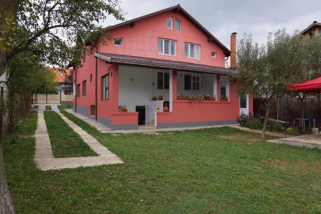 Vila Alex Hotel Calimanesti Exterior photo