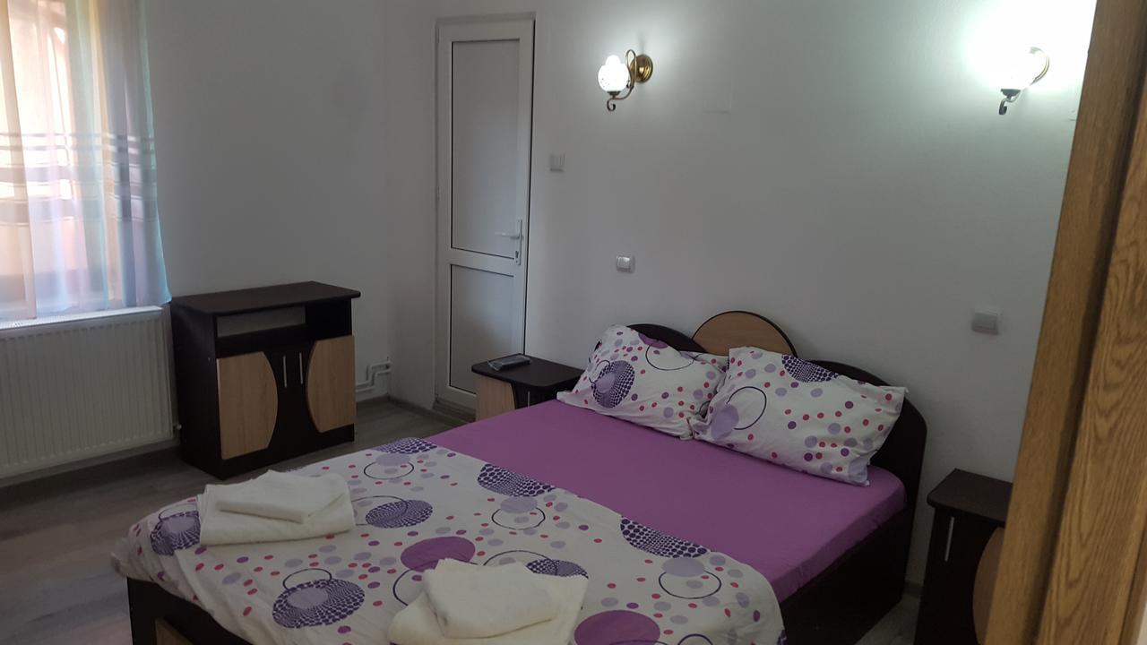 Vila Alex Hotel Calimanesti Exterior photo