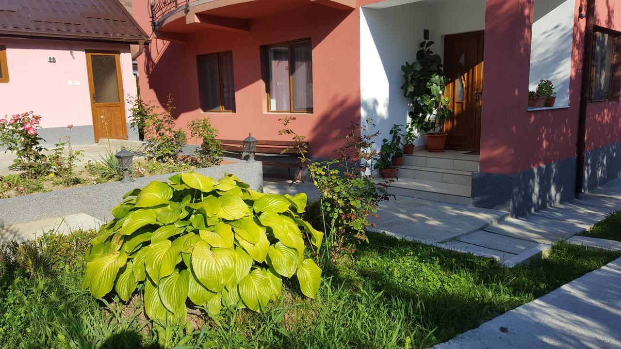 Vila Alex Hotel Calimanesti Exterior photo