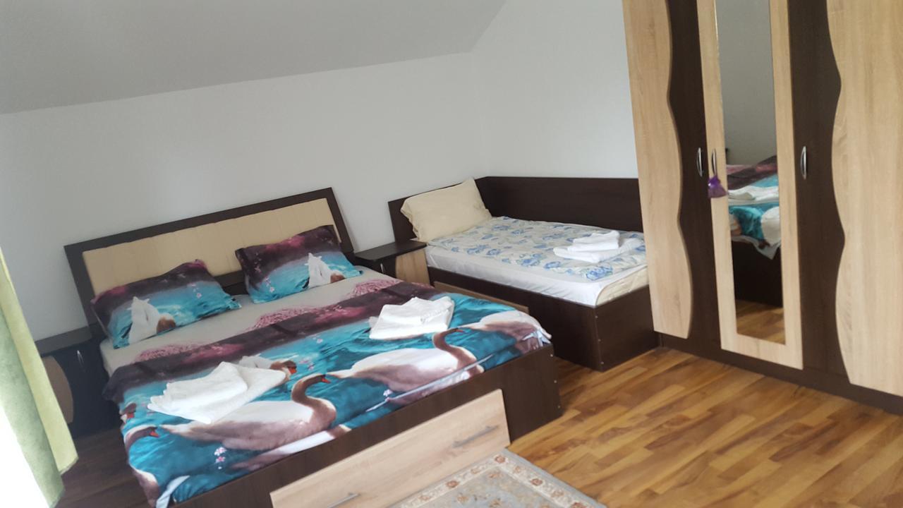 Vila Alex Hotel Calimanesti Exterior photo