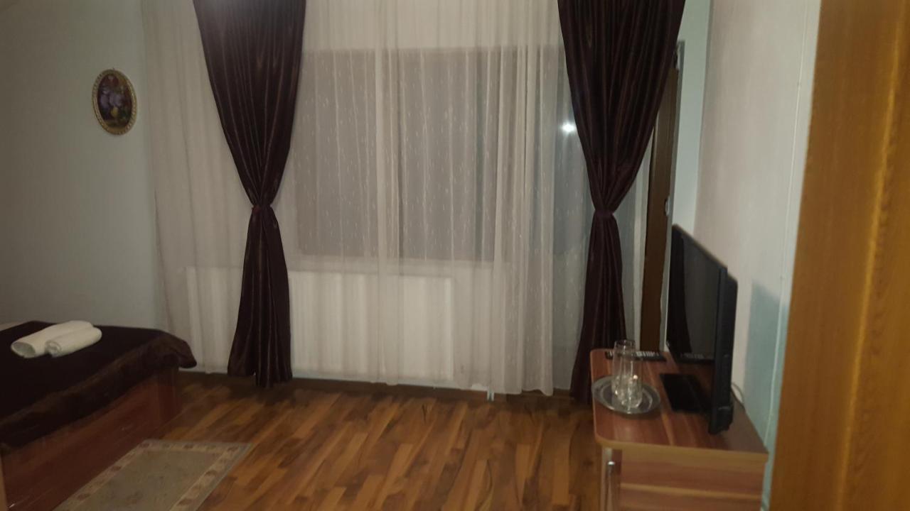 Vila Alex Hotel Calimanesti Exterior photo