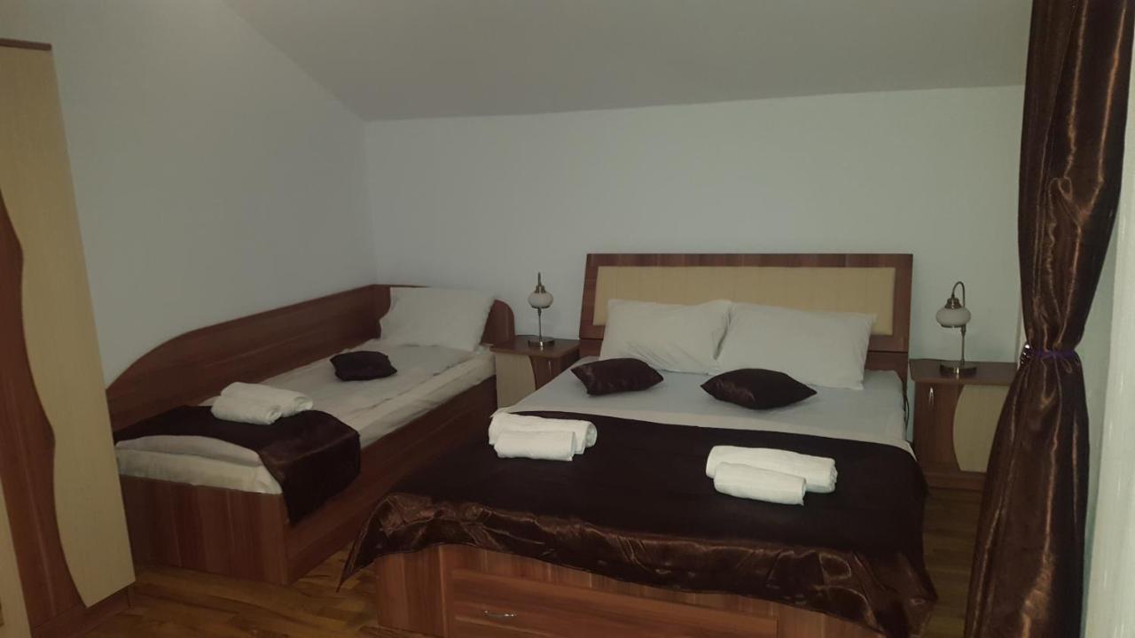 Vila Alex Hotel Calimanesti Exterior photo