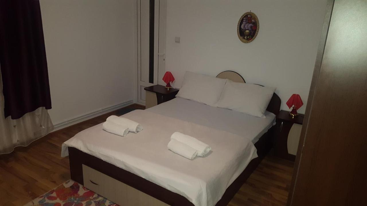 Vila Alex Hotel Calimanesti Exterior photo